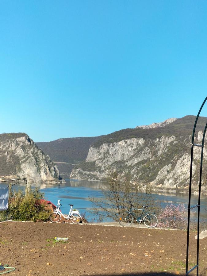 Casa De Vacanta Maga Dubova Dış mekan fotoğraf
